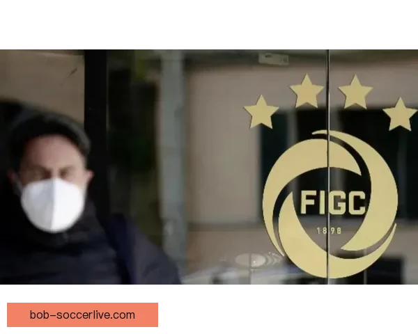 加拿大足协呼吁本国意大利球迷换球衣不要再等四年支持球队